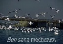 BEN SANA MECBURUM-ATTİLA İLHAN