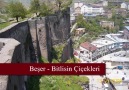 Beşer - Bitlis'in Çiçekleri [HQ]