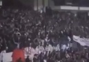 Beşiktaşım Koyunca Hopluyor Bursa !!