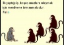 Beş Maymun Hikayesi - TAM EKRAN IZLEYIN