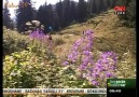 Bulutların Üstünde Yolculuk (2.Bölüm) [HQ]