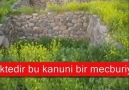 BURASI ARDAHAN HOÇVAN Mehmet ali arslan bayramoğlu köyü @ ...