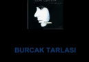 BURÇAK TARLASI