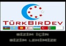 Büyük Türk Birliği