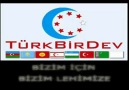 Büyük Türk Birliği