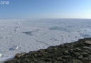 Buzulların Erimesi [HD]