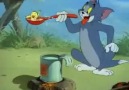 canlı tom ve jerry