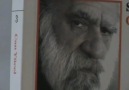 can yücel-belkim bir kertenkeleydim