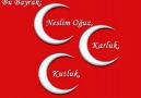 cCc -ÜÇ HİLAL' Lİ BAYRAK - cCc