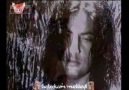 Çelik - Hercai