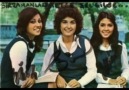 Cici Kızlar - Delisin
