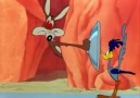 Coyote Sonunda Road Runner ı Yedi İşte Beklenen Son :D