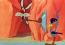 Coyote Sonunda Road Runner ı Yedi İşte Beklenen Son :D