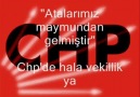 DINIMIZE KUFUR EDEN CHPLİ MAHLUKLAR!!