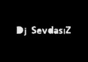 Dj SevdasiZ Ft TnT - AnLaMi KaLMaDi (2o1o) [SheRSeRIQaLbiM