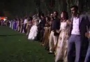 Dîlana Kurd / Kürt Düğünleri
