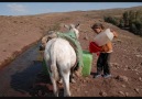 Doğunun Çocuk Yüzleri-Paşa İmrek