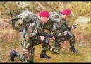 Dünyanın En İyi Askerleri ''Bordo Bereliler'' ( Paylaş )