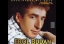 Erol budan - Harabe gönlüm