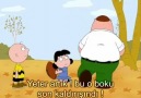 Family Guy 8 Sezon En İyi Bölümleri
