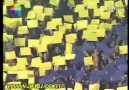 Fenerbahce Supporters  Fans  Taraftari ( yaday )