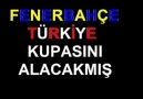 Fenevbahçe Türkiye Kupasını Alacakmış ? :D