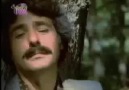 Ferdi Tayfur - Olsan İçmezmiydin Benim Yerimde