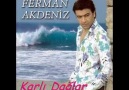 Ferman AKDENİZ - Karlı Dağlar