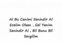 Ferman - Ecelim Olsan
