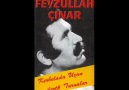 FEYZULLAH ÇINAR--ÇAMŞIHINA VARDIM (DİVRİĞİNİN_SESİ_G