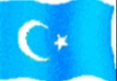 Filistini Görenler Doğu Türkistanı Neden Görmezler !!!