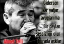 GİDERSEN YIKILIR BU KENT