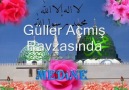 Güller Açmış Ravzasında [Mustafa Özcan Güneşdoğdu]