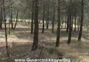 Güvercinlik Köyü Mezarlığı Bölüm 2 [HQ]