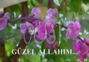 GÜZEL ALLAH'ım  ( Hasan Dursun ) [HQ]