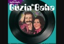 Güzin ile Baha - Genclik Basimda Duman (1975)