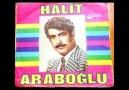 Halit Araboğlu - Unutursun Diye