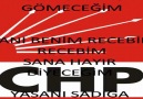 Hani Benim Recebim Recebim Hayır Oyu Vereceğim