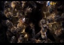 Hayat Belgeseli Bölüm 6: Arılar [HQ]