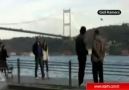 hayro köprüyü satın alıyo =)