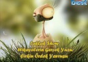 Hikayelerin Gerçek Yüzü: Çirkin Ördek Yavrusu [HQ]