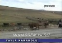 hocvanın köyleri yayla karakolu