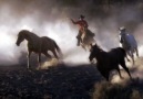 HORSES & POLYUSHKA POLYE & ATLAR [HQ]