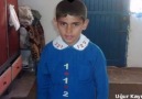 HOZAN DINO ~ BIZI HIC BIR DILDE ANLAMADINIZ