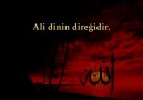 HZ MUHAMMED.İN HZ ALİ.İLE İLGİ.Lİ HADİS.LERİ
