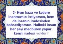 İMAM-I AZAM 3 SORUYO VERDİĞİN MUAZZAM CEVAPLAR ...!!!