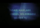 İnsan Hakları