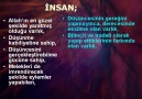 İnsan ve Kaderi [HQ]