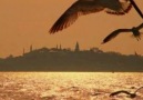 İstanbul Kanatlarımın Altında - Gülay [HQ]