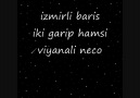 izmirli baris iki garip hamsi by winec [HQ]